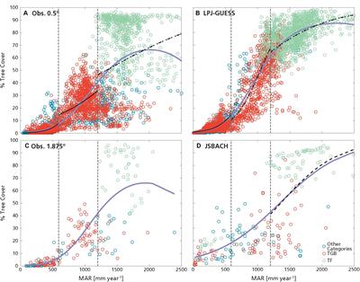 Linking Vegetation-Climate-Fire Relationships in Sub-Saharan Africa to Key Ecological Processes in Two Dynamic Global Vegetation Models